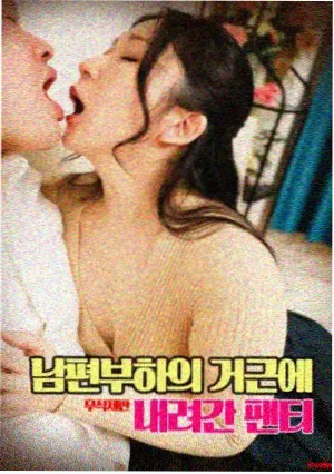 轻梦小说资讯